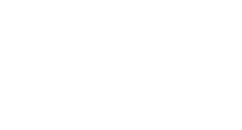 IT人材紹介サービス